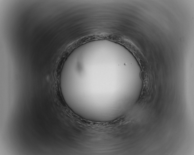 X0000100320773200806051349