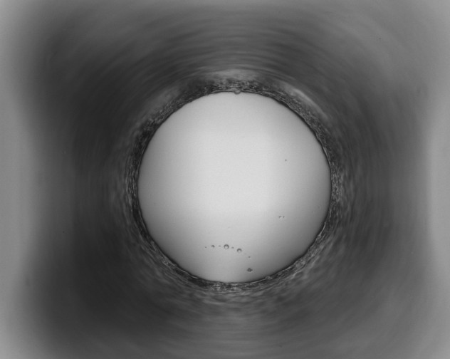 X0000100320774200806051349