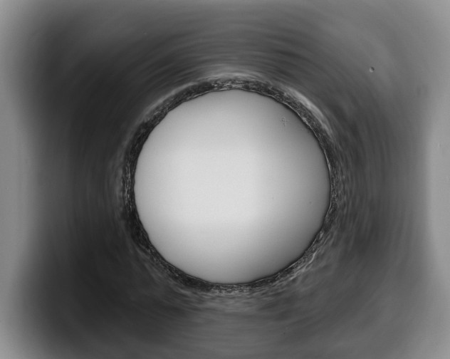 X0000100320775200806051349