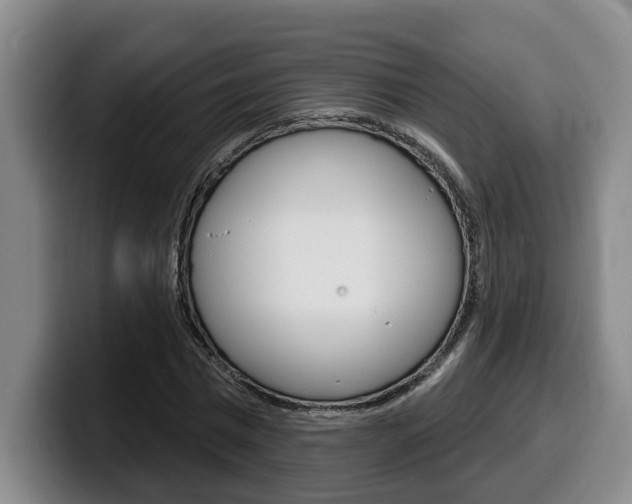 X0000100320777200806051349