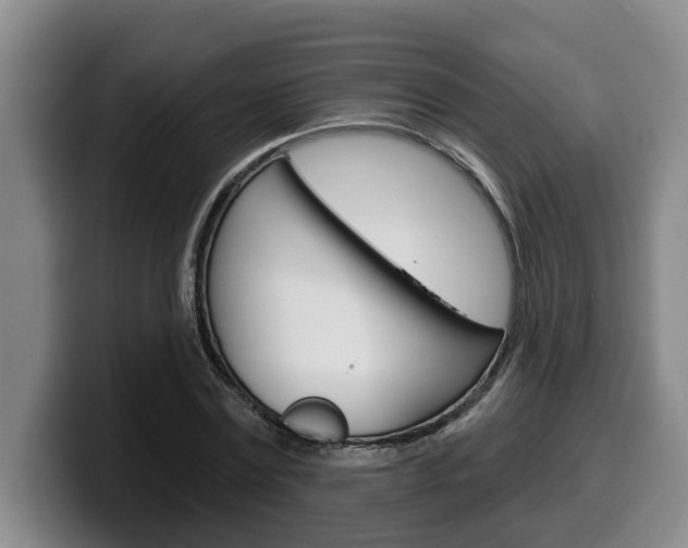 X0000100320779200806051349