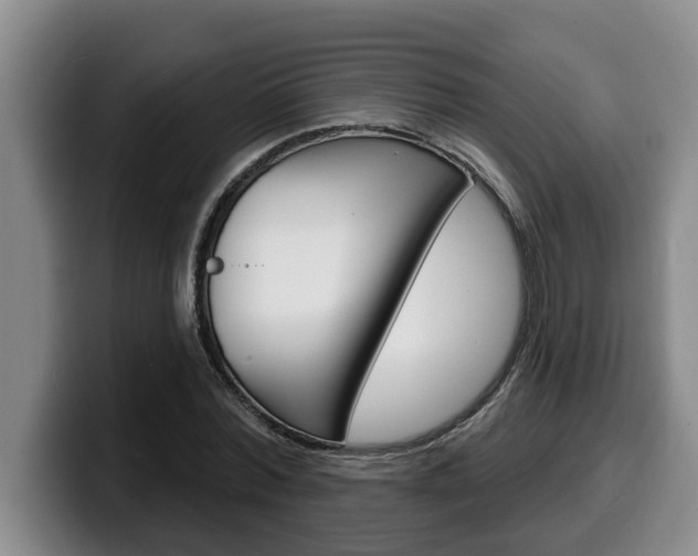 X0000100320780200806051349