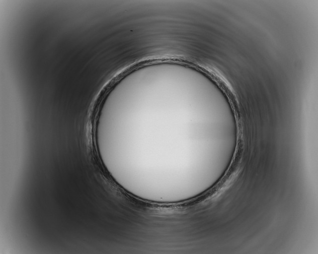 X0000100320781200806051349