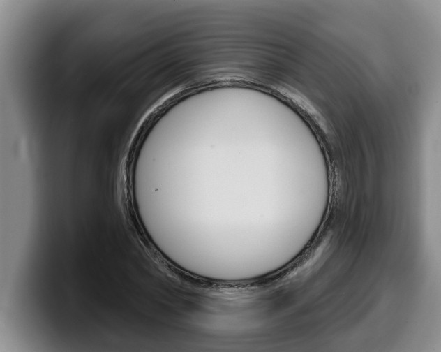 X0000100320782200806051349