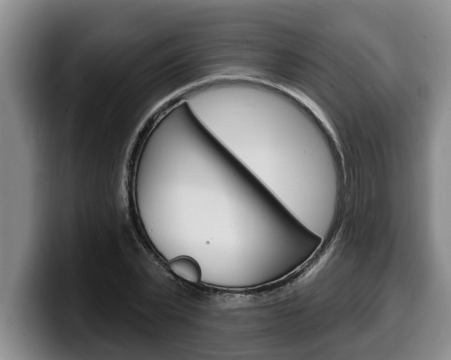 X0000100320783200806051349