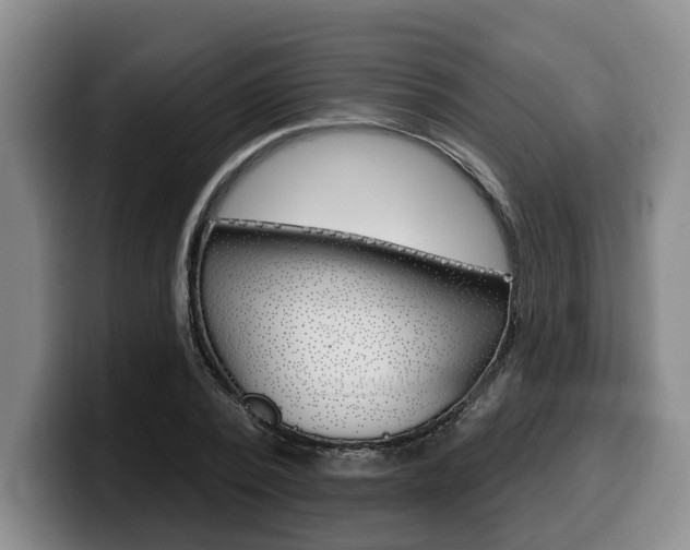 X0000100320784200806051349