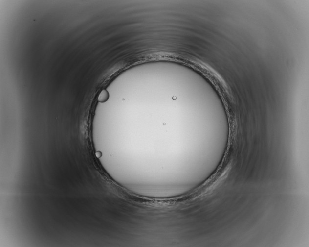 X0000100320785200806051349