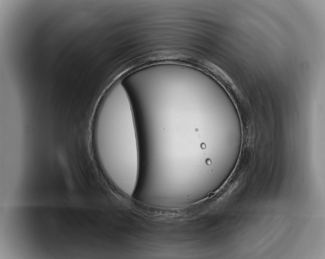 X0000100320786200806051349