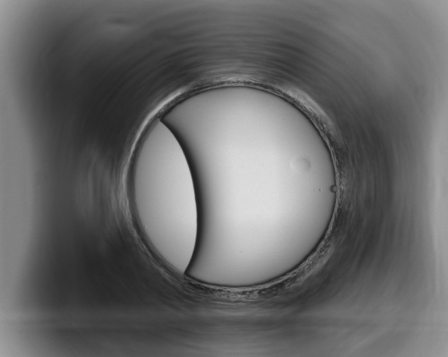 X0000100320790200806051349
