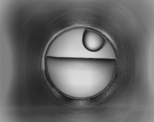 X0000100320791200806051349