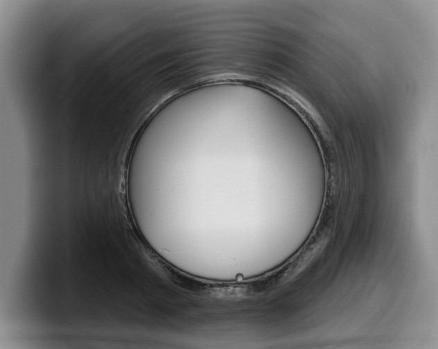 X0000100320793200806051349