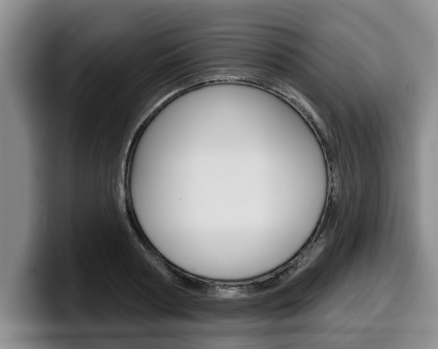 X0000100320794200806051349