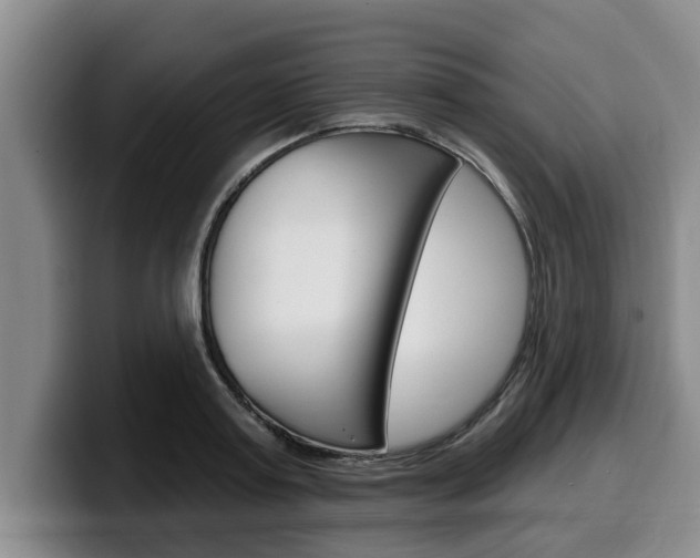 X0000100320795200806051349