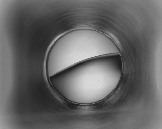 X0000100320796200806051349