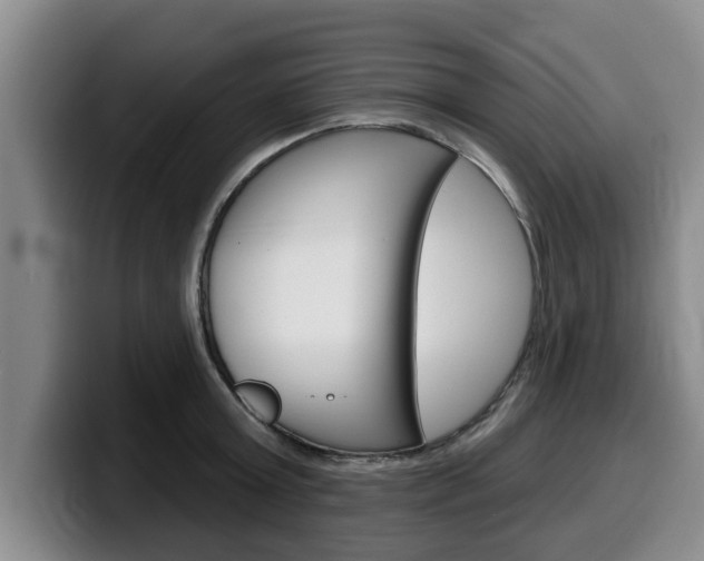 X0000100320803200806051348