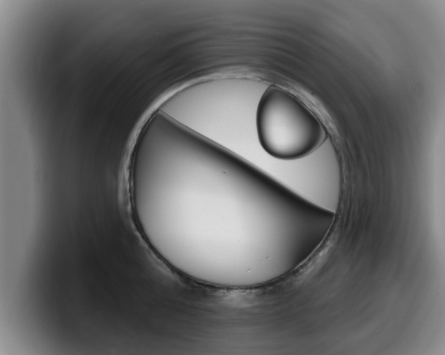 X0000100320808200806051348
