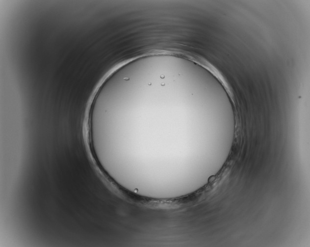 X0000100320811200806051348