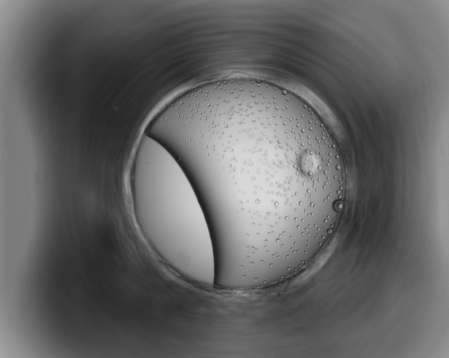 X0000100320814200806051348
