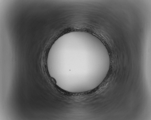 X0000100320817200806051348