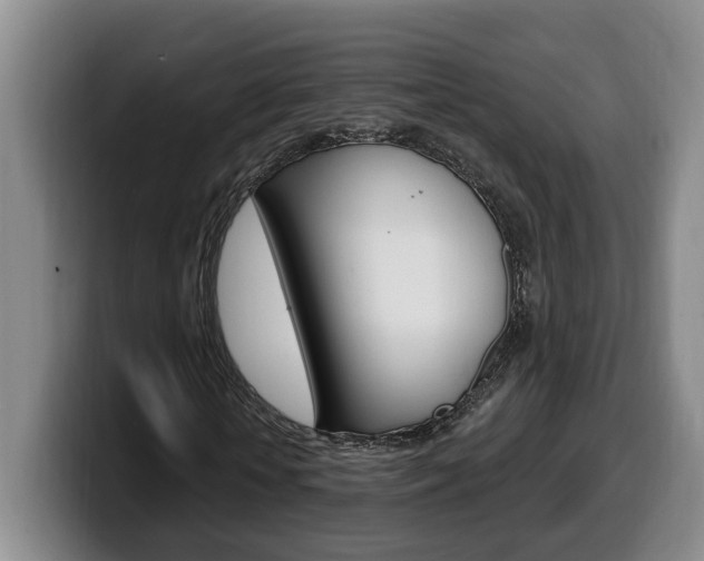 X0000100320818200806051348