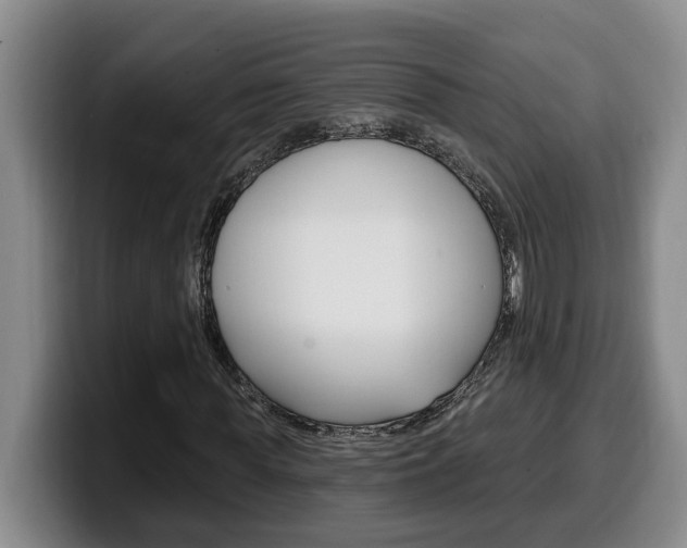 X0000100320819200806051348