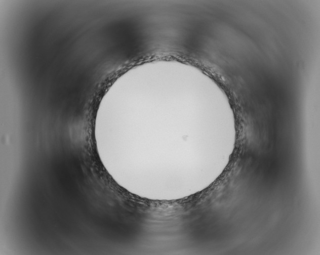 X0000100320824200806051348