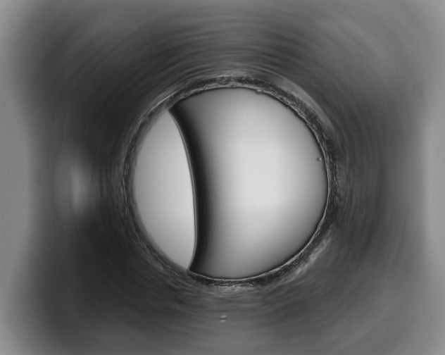X0000100320826200806051348