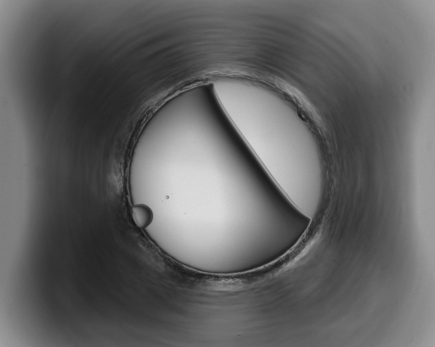 X0000100320833200806051348