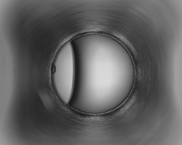 X0000100320834200806051348