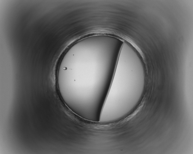 X0000100320837200806051348