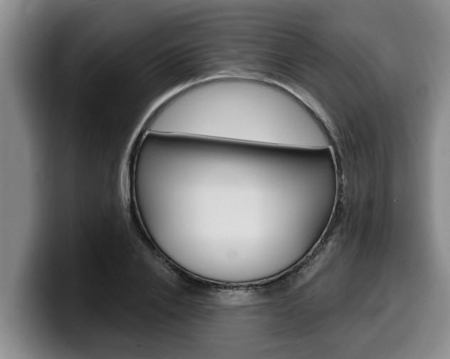 X0000100320838200806051348