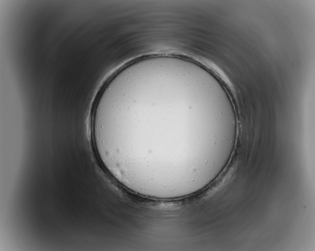 X0000100320839200806051348
