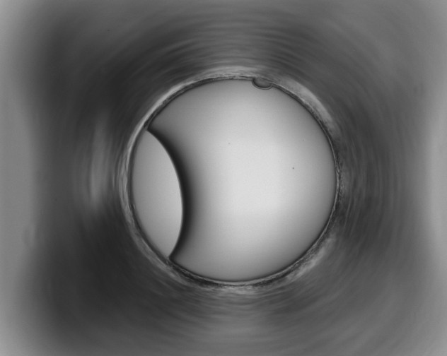 X0000100320844200806051348