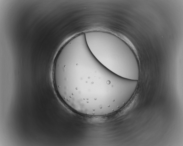 X0000100320847200806051348