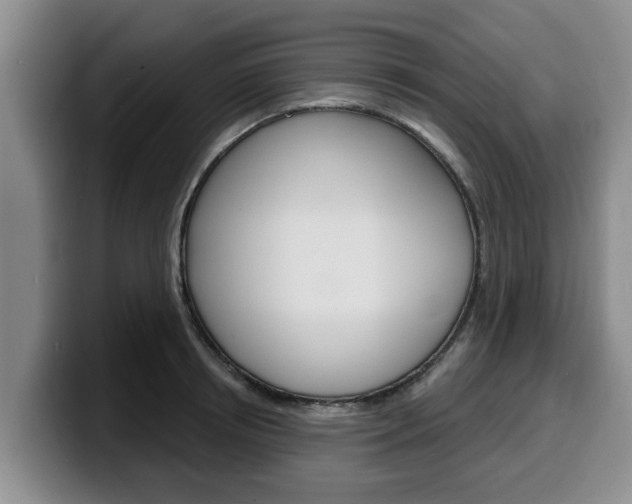X0000100320850200806051348