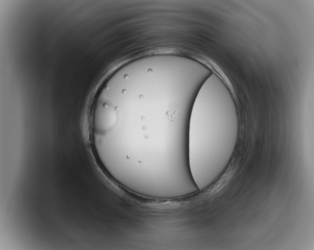 X0000100320851200806051348