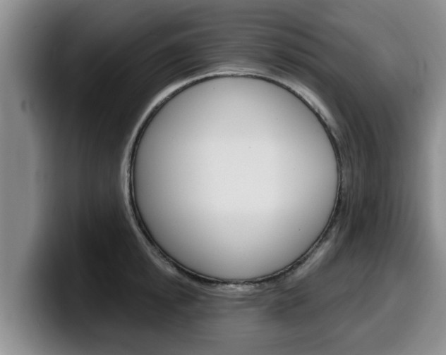 X0000100320854200806051348