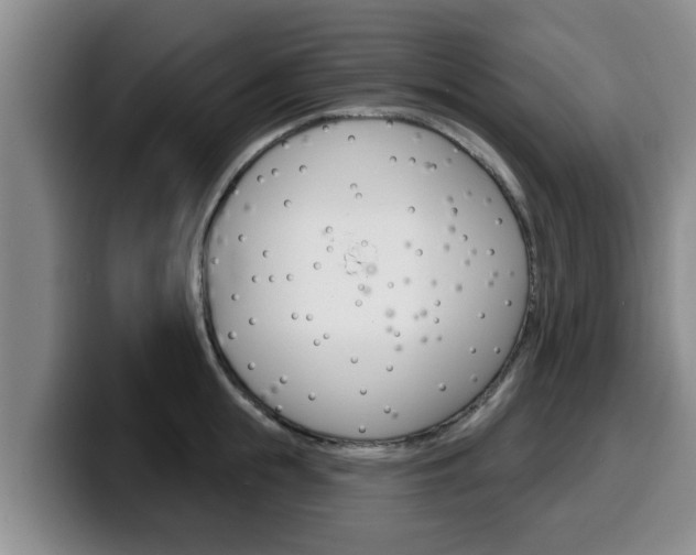 X0000100320855200806051348