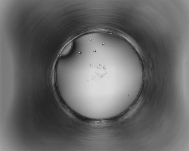 X0000100320858200806051348