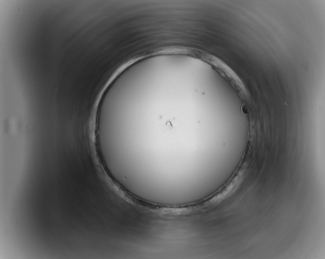 X0000100320860200806051348