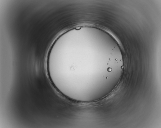 X0000100320861200806051348