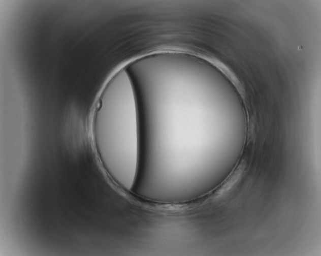 X0000100320862200806051348