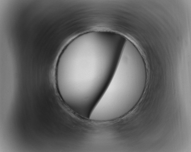 X0000100320864200806051348