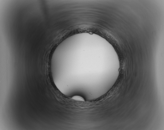 X0000100320868200806051348
