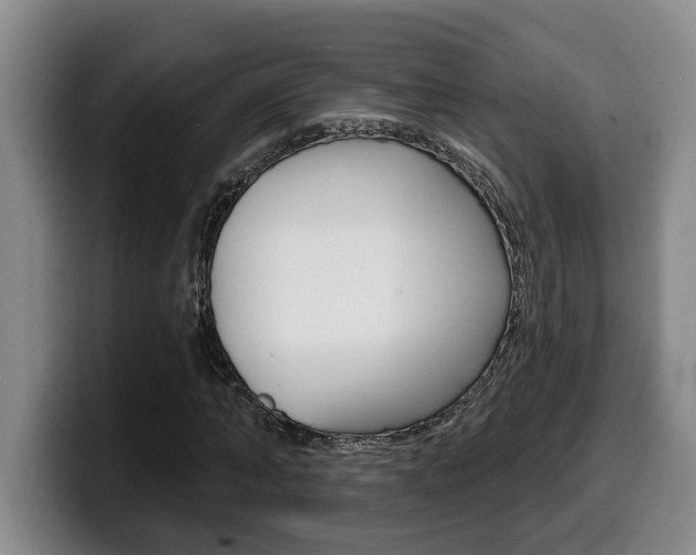 X0000100320870200806051348