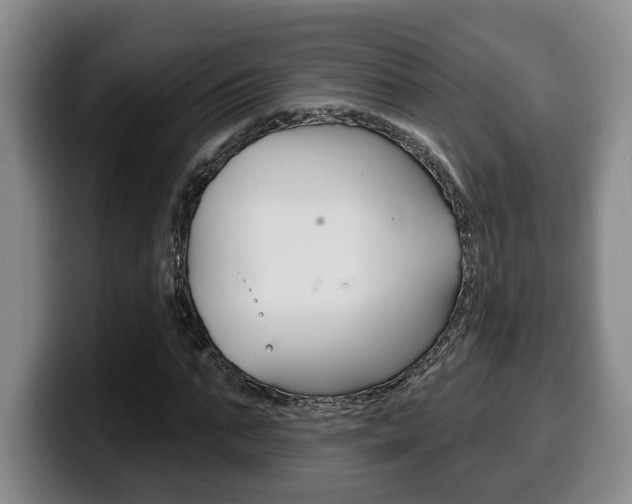 X0000100320871200806051348