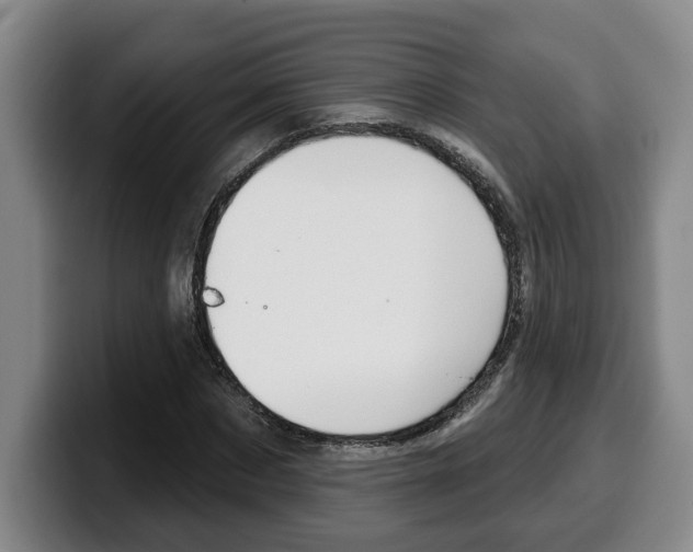 X0000100320873200806051348