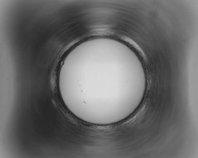 X0000100320874200806051348