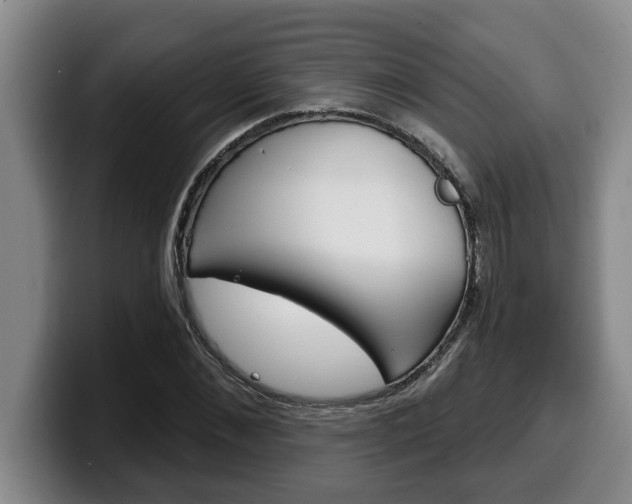 X0000100320876200806051348