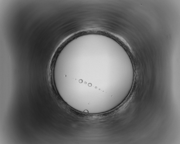 X0000100320879200806051347